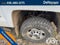 2015 Chevrolet Silverado 2500 HD Work Truck